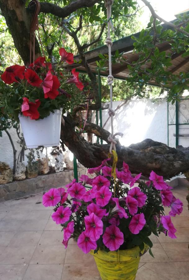 B&B Lety Alghero Exterior photo