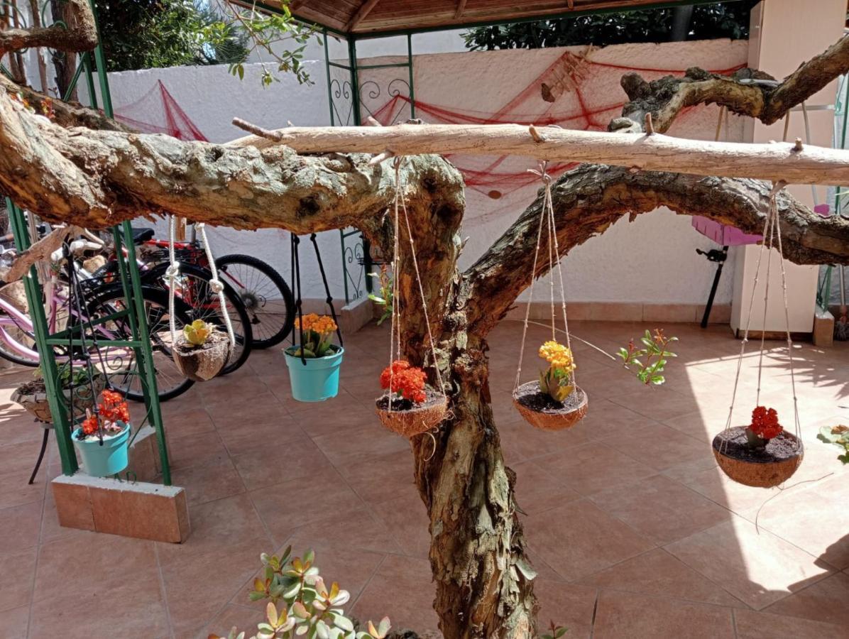 B&B Lety Alghero Exterior photo